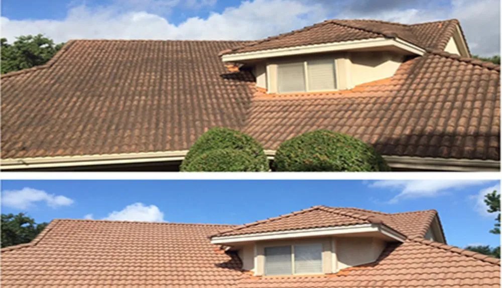 Local lawn care service in Sumter, SC - Get It Done Number 1 Services