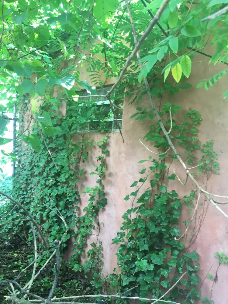 Local landscape design in Philadelphia, PA - Get It Done