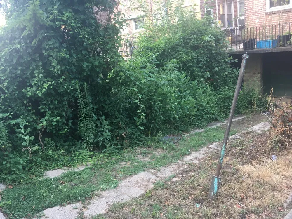 Professional landscape installation with custom design in Philadelphia, PA by Get It Done