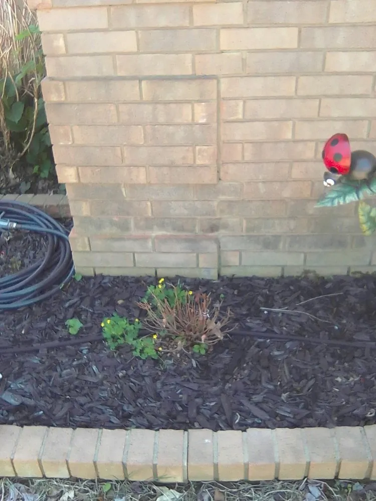 Local lawn mowing service experts serving Conway, AR - Get It Done Services