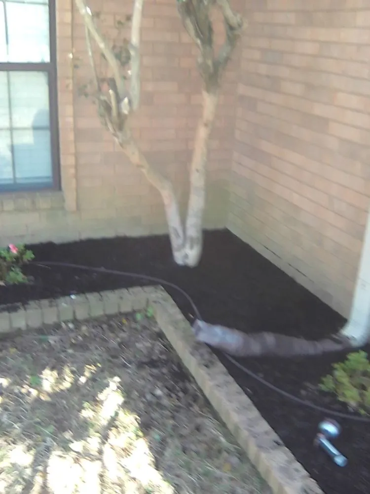 Expert lawn care service experts serving Conway, AR - Get It Done Services