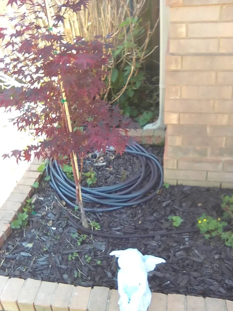 Expert yard cleanup service for homes across Conway, AR - Get It Done Services