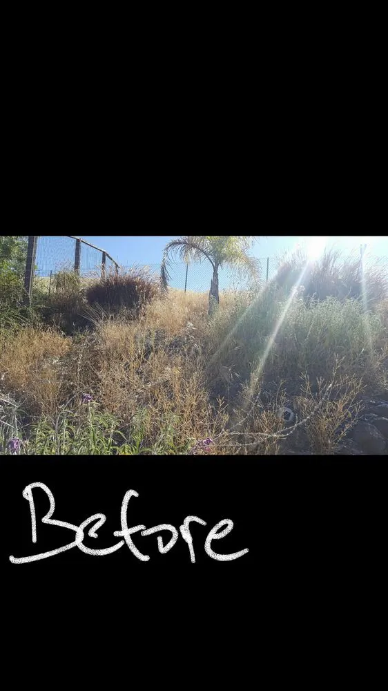 Reliable landscape installation in Sacramento, CA by Get it Done yard cleanups