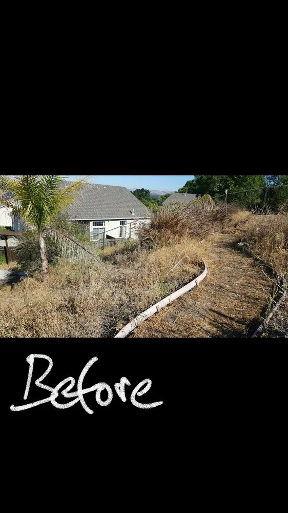 Expert landscaping services experts serving Sacramento, CA - Get it Done yard cleanups