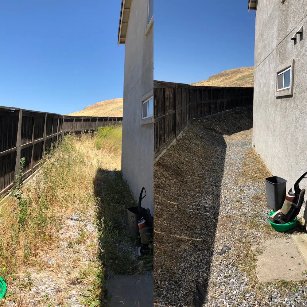 Affordable lawn mowing service for beautiful yards across Sacramento, CA - Get it Done yard cleanups