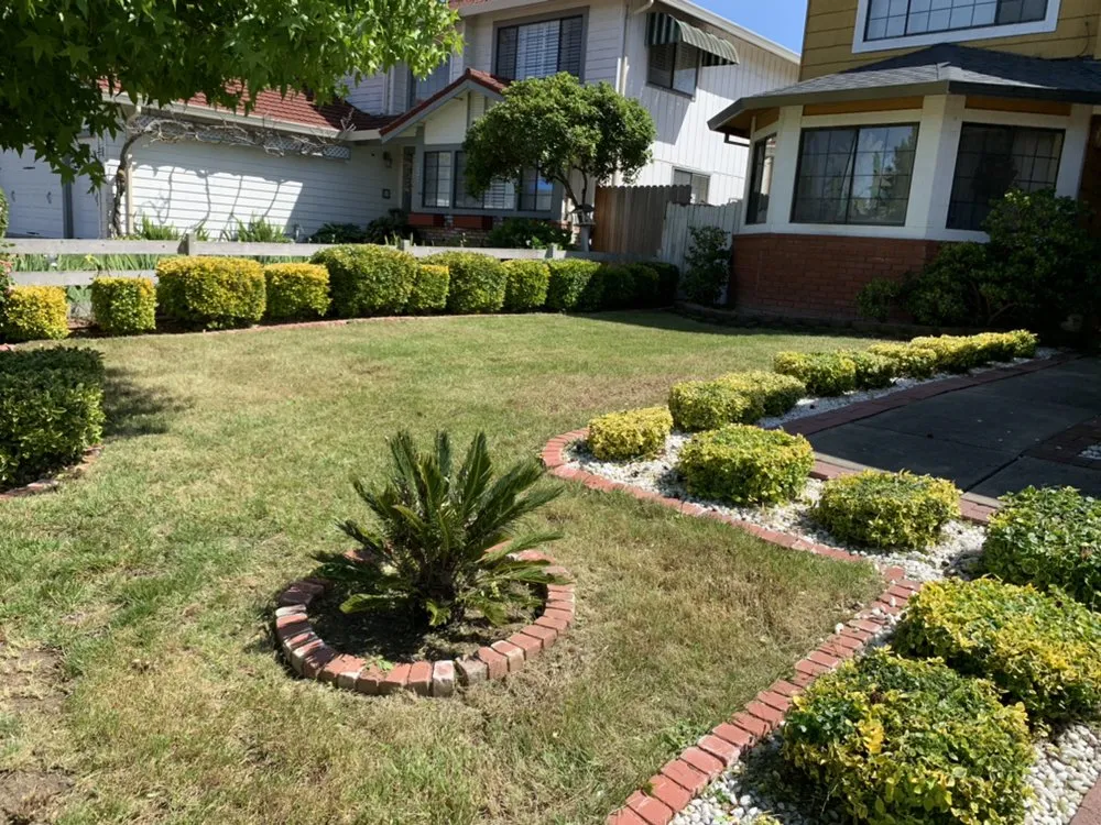 Professional lawn mowing service for year-round maintenance across Sacramento, CA - Get it Done yard cleanups