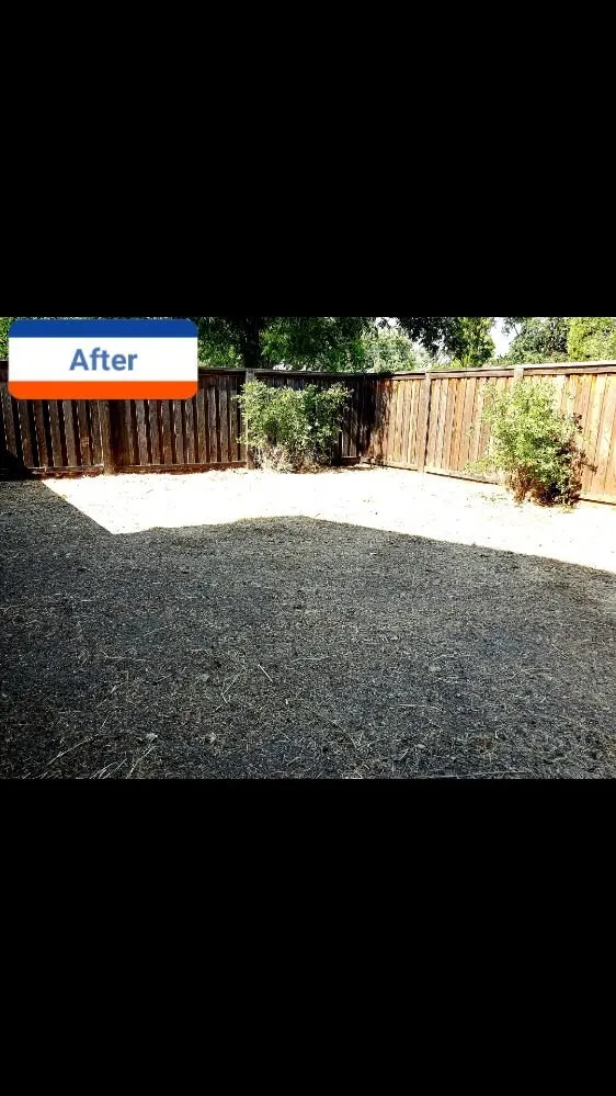 Top-rated outdoor landscaping in Sacramento, CA - Get it Done yard cleanups