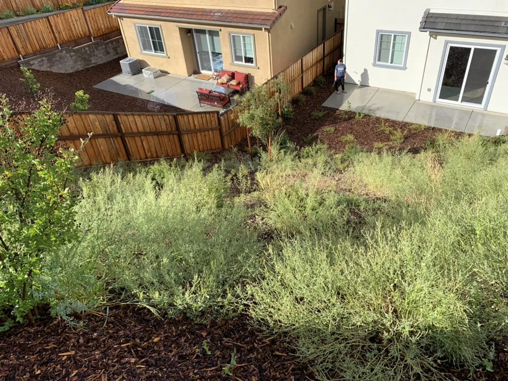 Trusted yard maintenance in Sacramento, CA by Get it Done yard cleanups