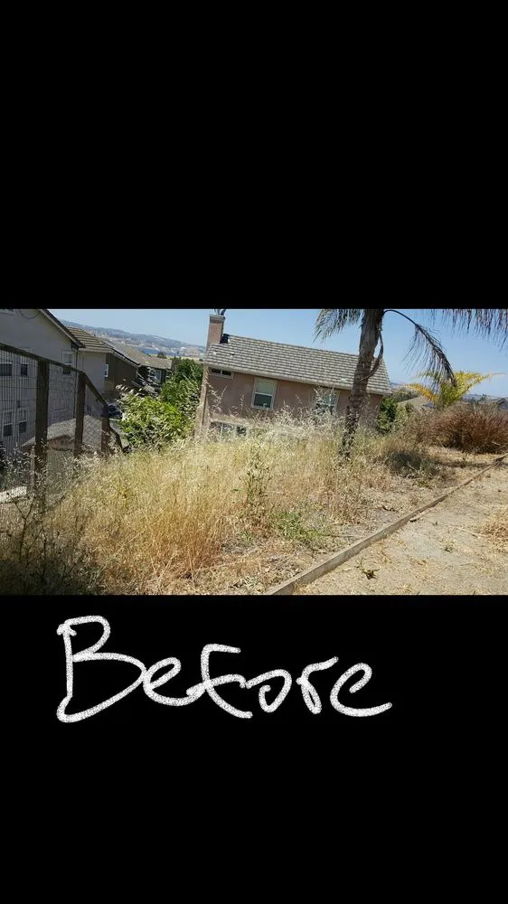 Reliable residential landscaping for homes in Sacramento, CA by Get it Done yard cleanups