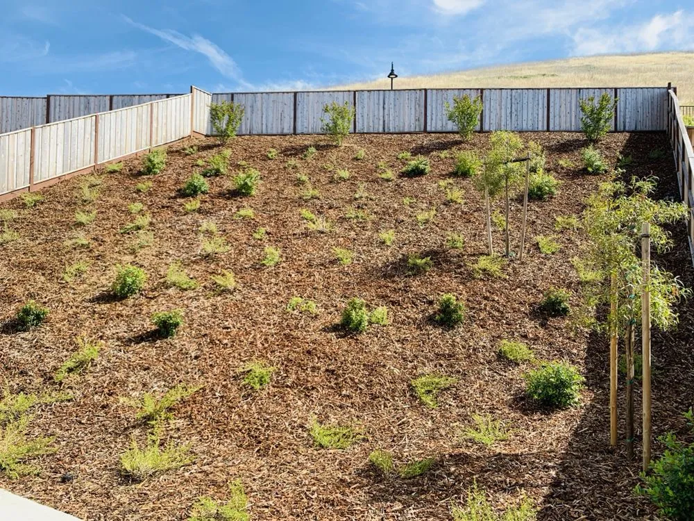 Expert landscape installation for residential properties in Sacramento, CA by Get it Done yard cleanups