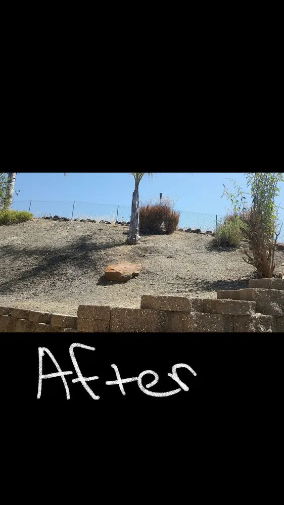 Expert yard maintenance for residential properties across Sacramento, CA - Get it Done yard cleanups