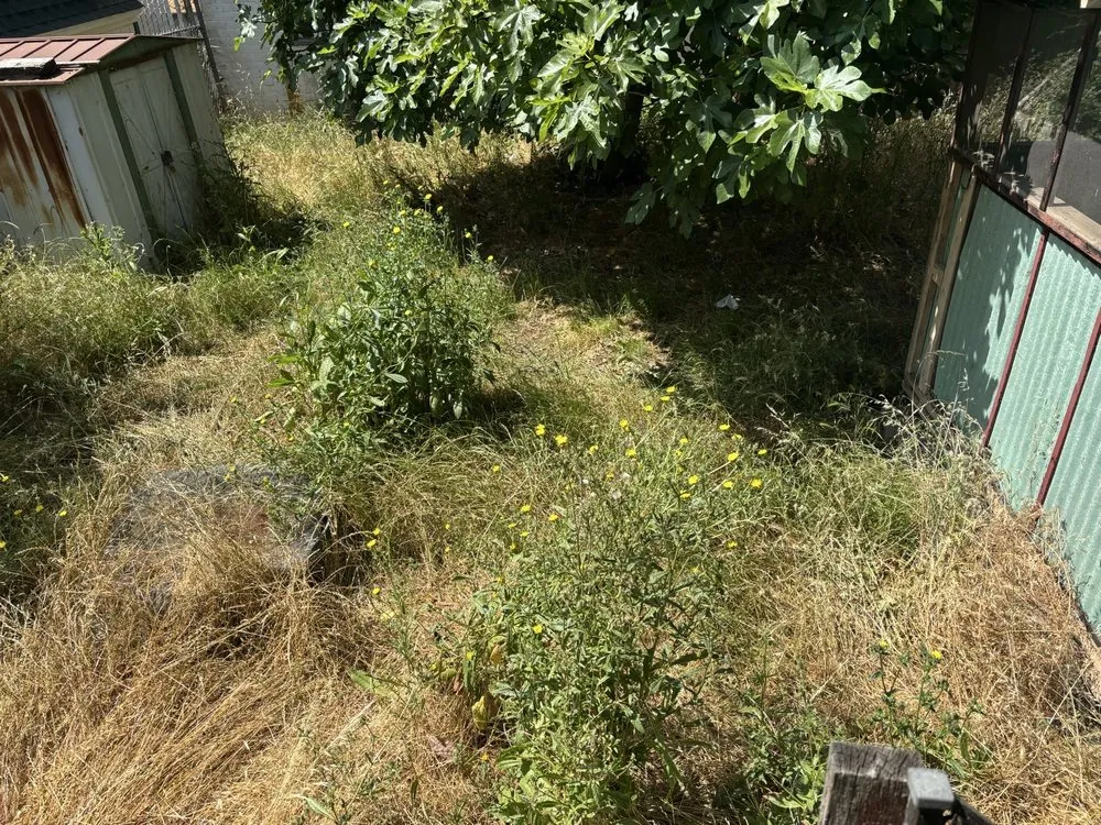 Custom landscaping services in Sacramento, CA by Get it Done yard cleanups