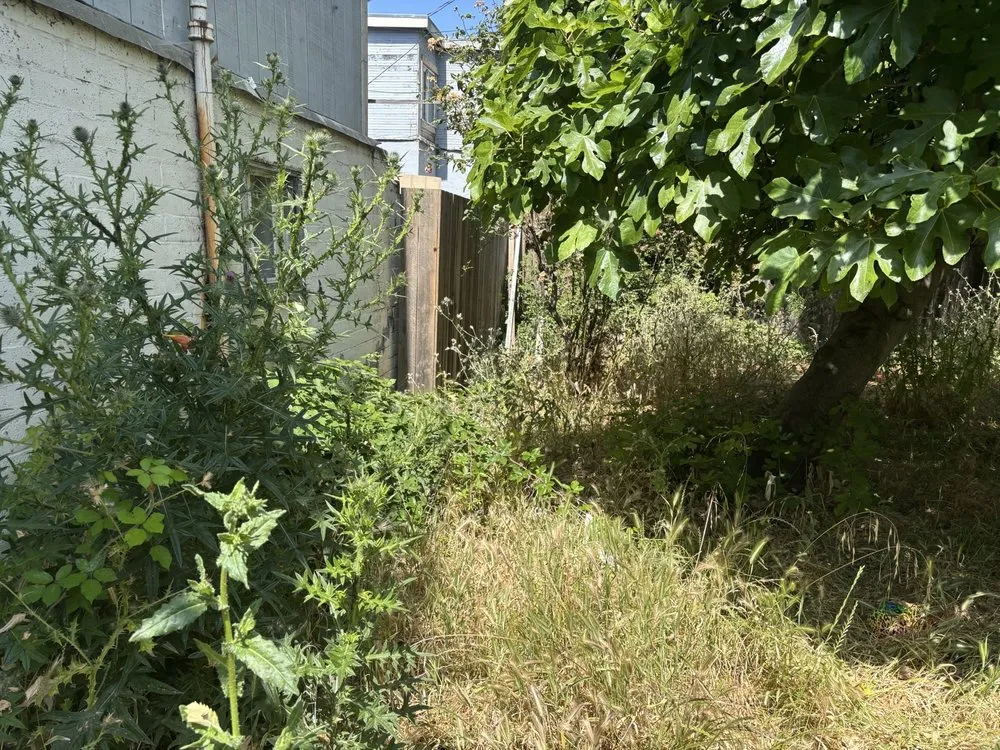 Top-rated lawn mowing service experts serving Sacramento, CA - Get it Done yard cleanups