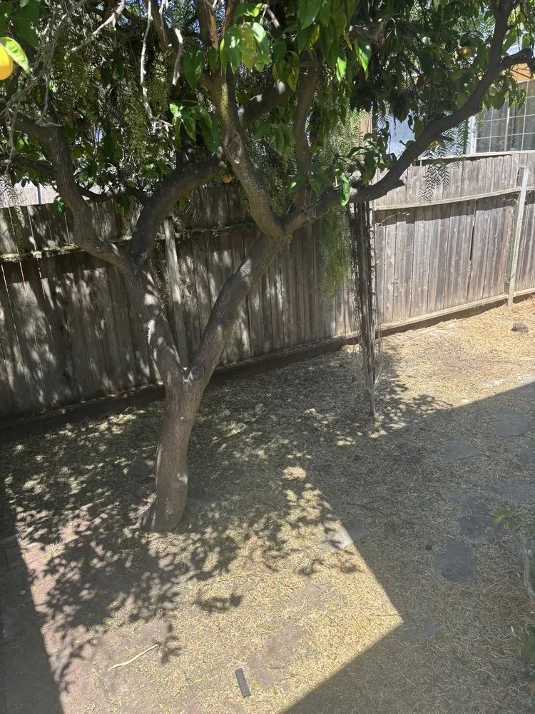Expert landscape installation in Sacramento, CA by Get it Done yard cleanups