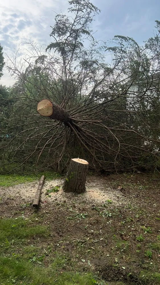 Top-rated yard maintenance for residential properties in Toledo, OH by Get It Down