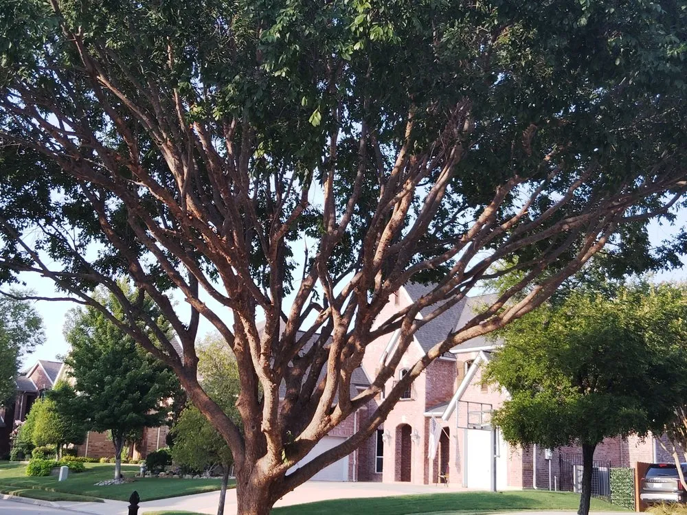 Local garden landscaping for outdoor upgrades in Watauga, TX by Get It Dunn Tree Service and Landscaping