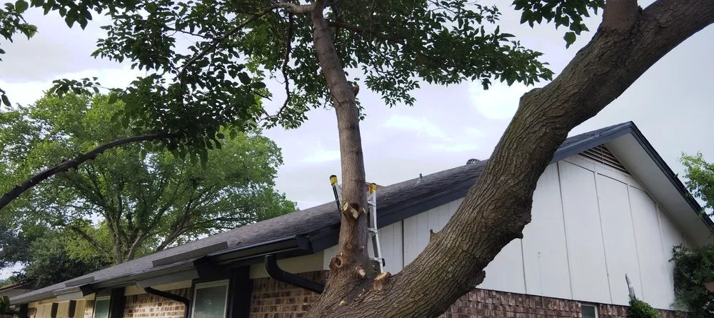 Local yard maintenance in Watauga, TX by Get It Dunn Tree Service and Landscaping