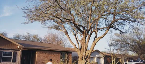 Get It Dunn Tree Service and Landscaping