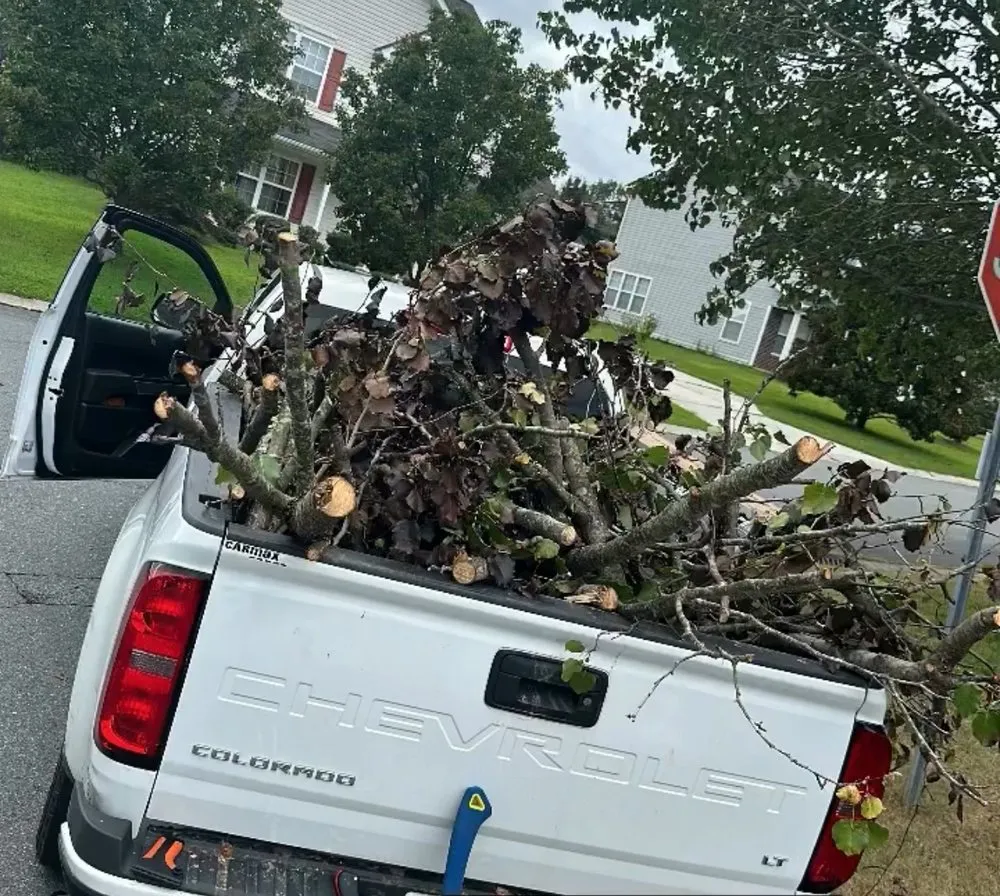 Top-rated residential landscaping near you in Raleigh, NC by Get It Gone Logistics