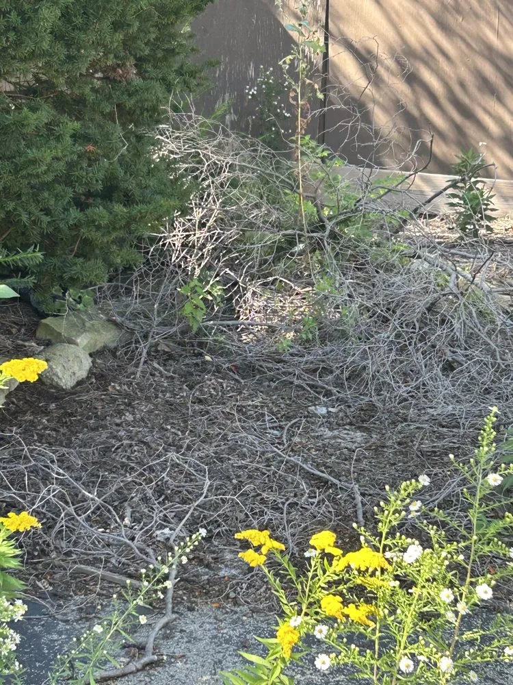 Professional landscaping services in Racine, WI - Get It Right Lawn Care