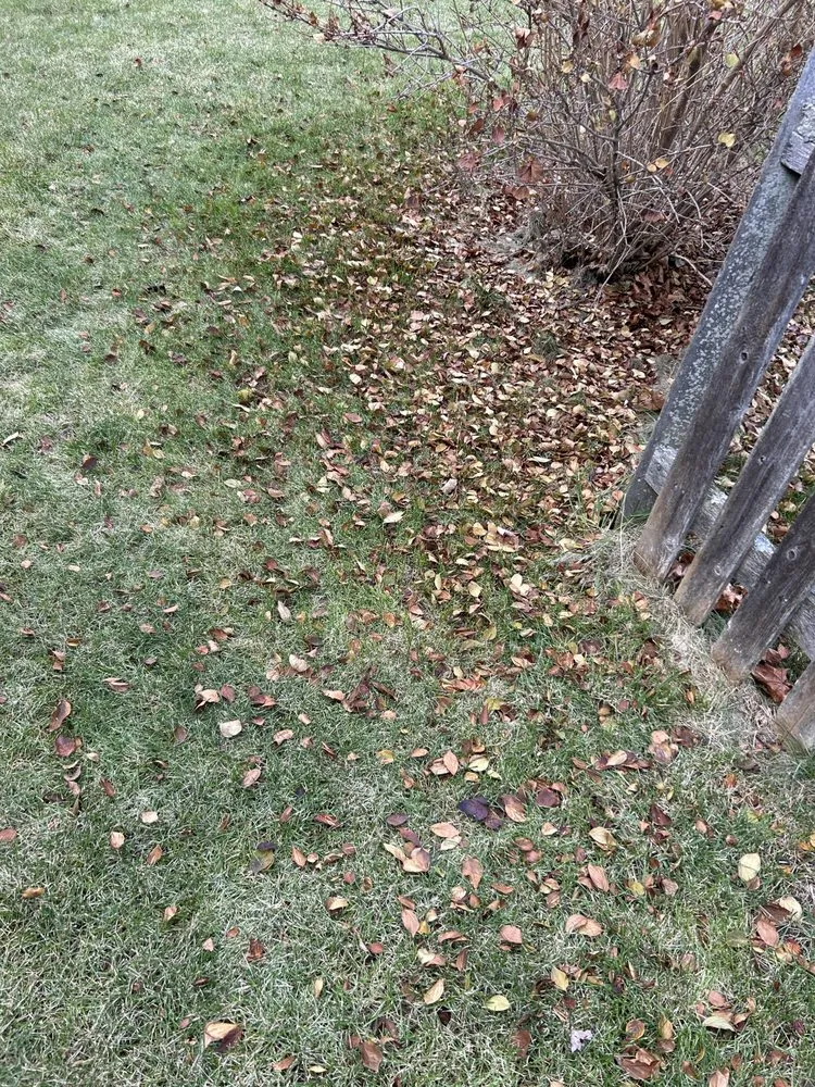 Local landscape design in Racine, WI - Get It Right Lawn Care