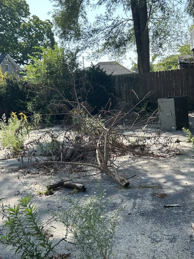 Expert landscape design in Racine, WI by Get It Right Lawn Care