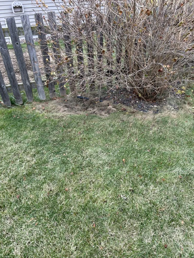 Top-rated yard maintenance in Racine, WI by Get It Right Lawn Care
