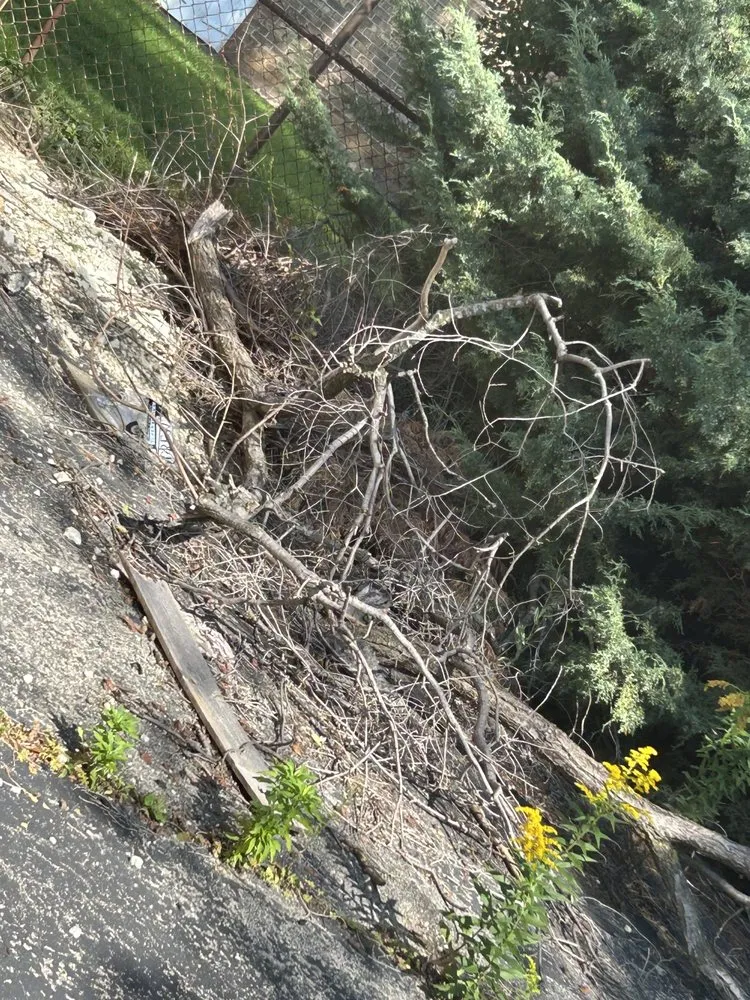 Top-rated lawn mowing service for outdoor upgrades in Racine, WI by Get It Right Lawn Care