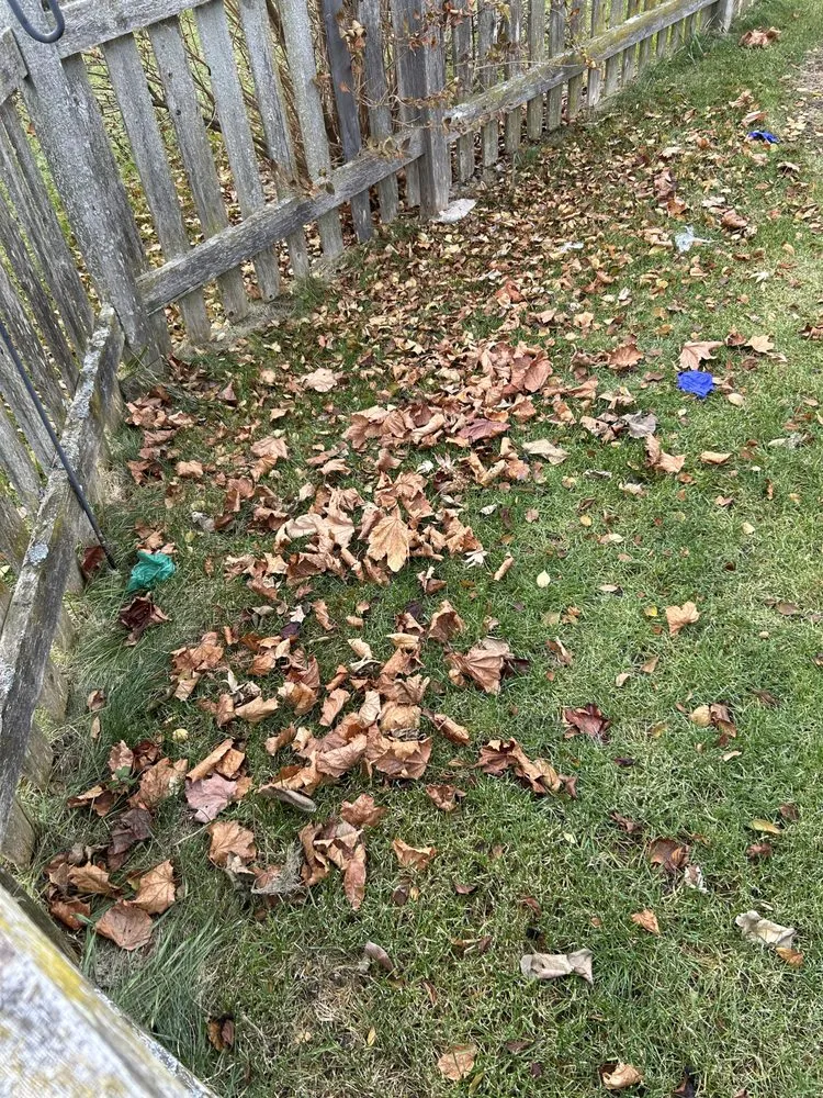 Expert lawn mowing service in Racine, WI - Get It Right Lawn Care