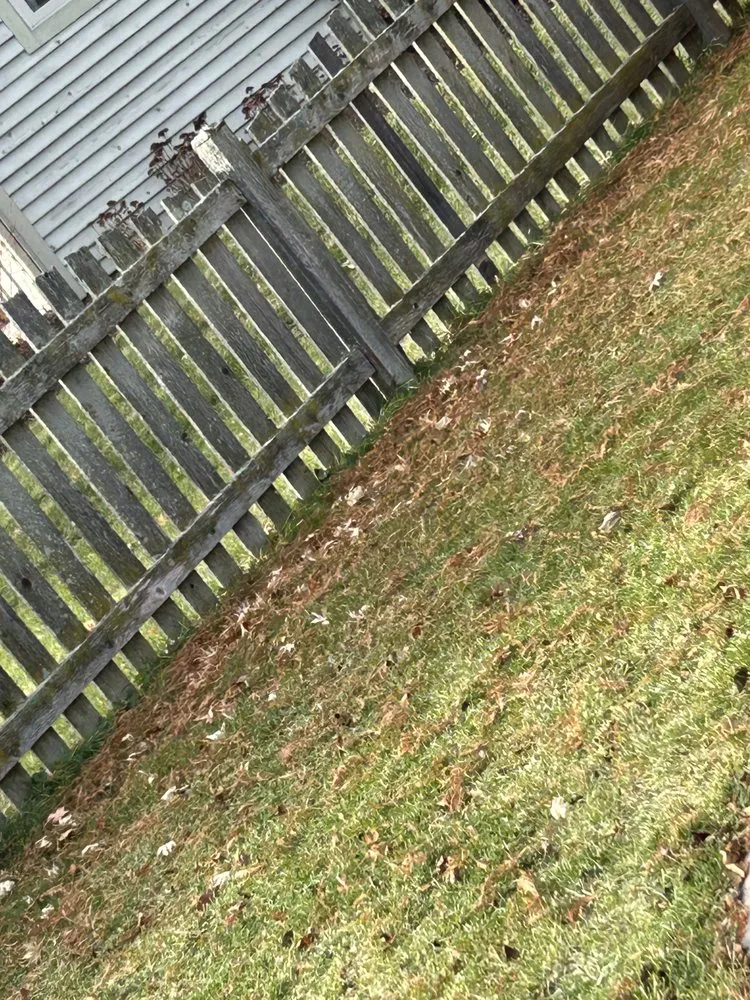 Affordable lawn care service in Racine, WI by Get It Right Lawn Care