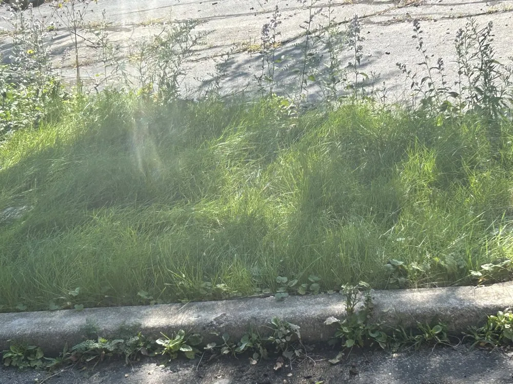 Local yard maintenance in Racine, WI by Get It Right Lawn Care