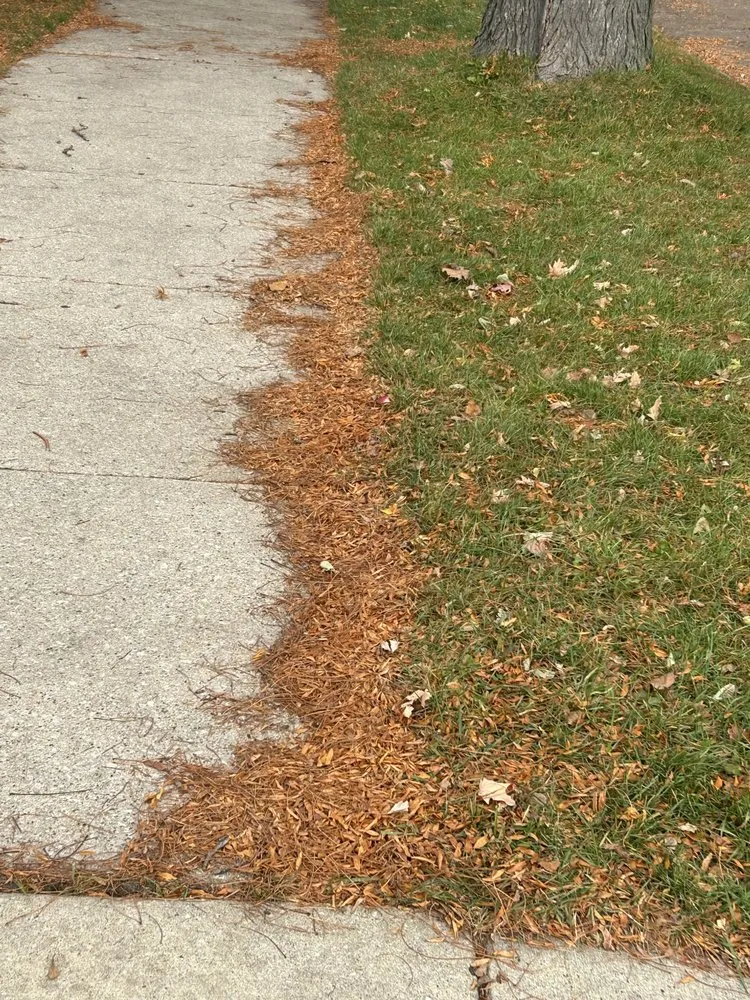 Expert landscape design in Racine, WI - Get It Right Lawn Care