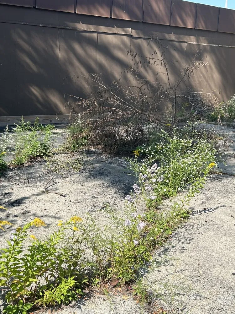 Local lawn care service in Racine, WI - Get It Right Lawn Care