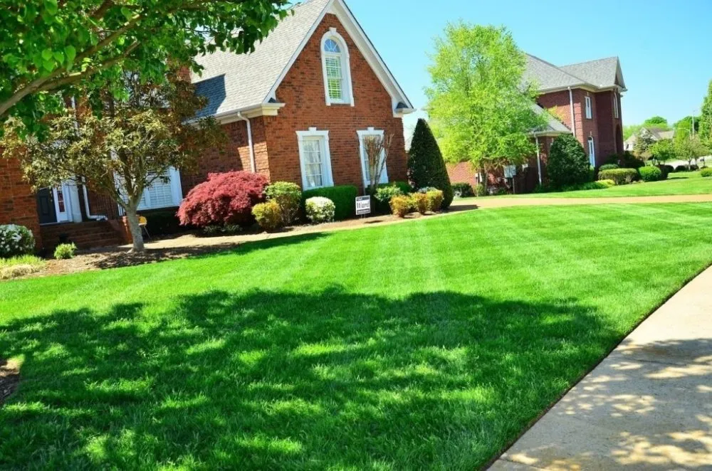 Local landscape installation in Harrison City, PA by Get Lawn In Order