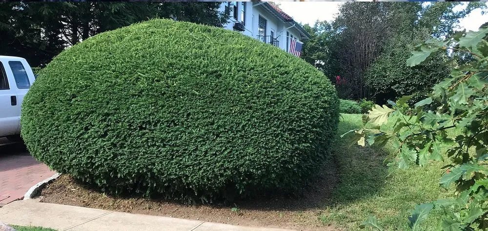 Local landscape installation in Pompton Lakes, NJ by Get Lit Get Wet