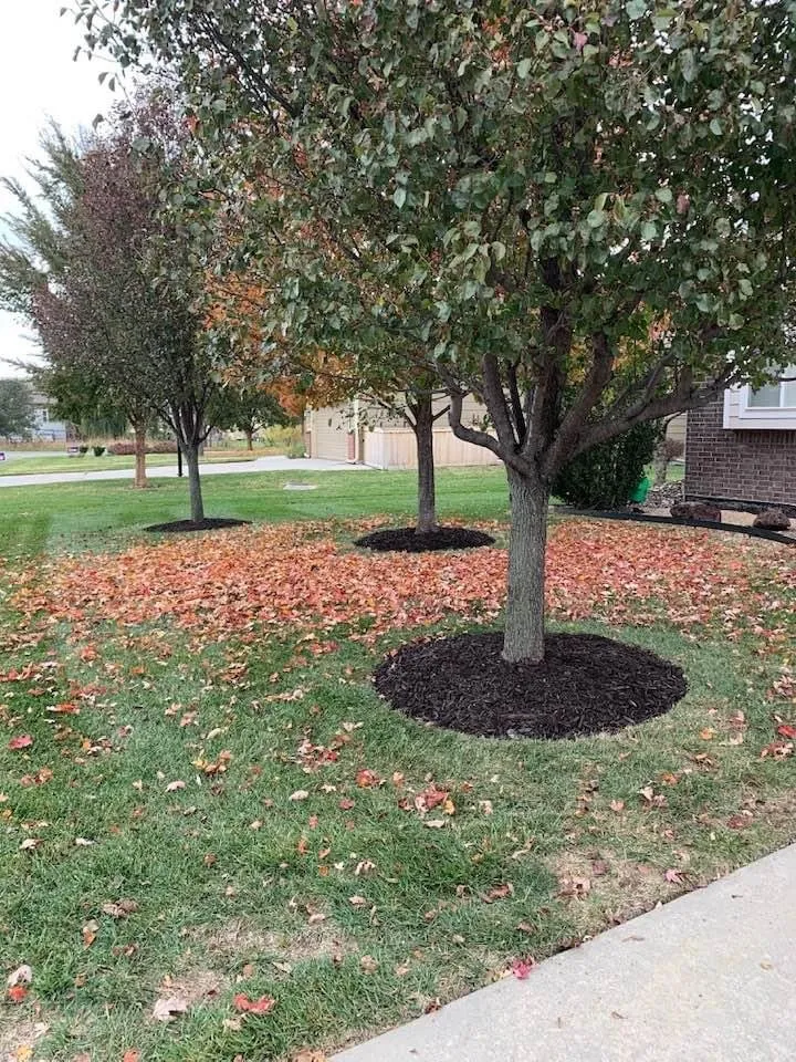Expert landscape installation experts serving Overland Park, KS - Get Lit Lighting & Landscape