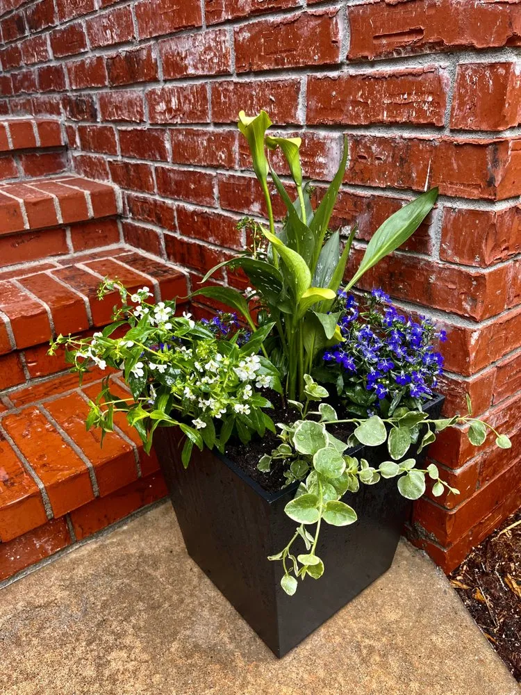 Reliable landscape installation in Overland Park, KS - Get Lit Lighting & Landscape