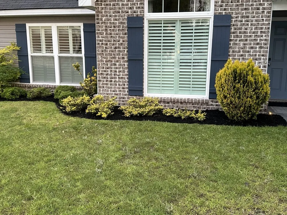 Affordable landscape installation near you across Rincon, GA - Get Mossed Cleaning , Landscaping and Handyman Services