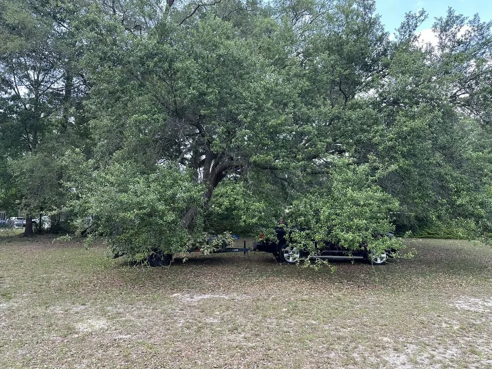 Expert landscape installation in Rincon, GA by Get Mossed Cleaning , Landscaping and Handyman Services