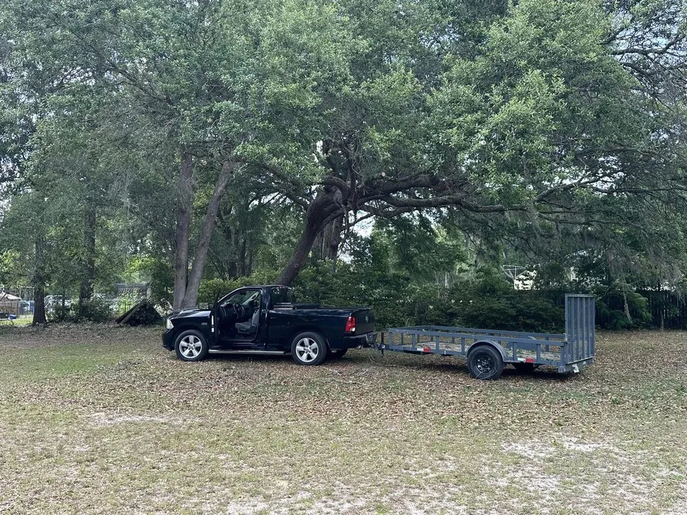 Affordable yard cleanup service in Rincon, GA - Get Mossed Cleaning , Landscaping and Handyman Services