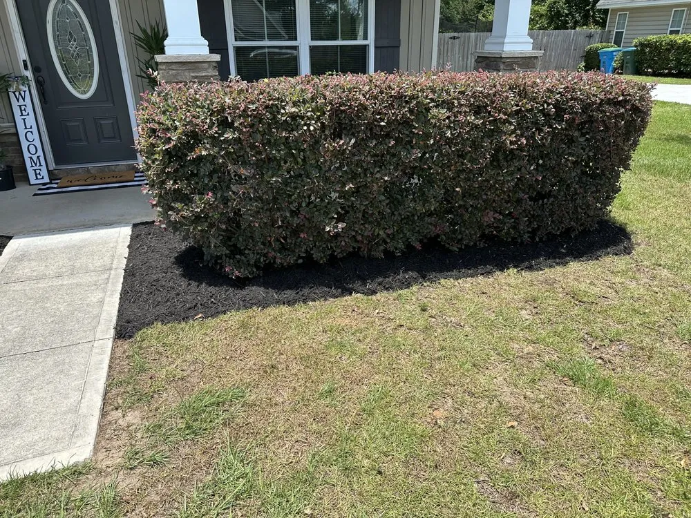 Top-rated outdoor landscaping in Rincon, GA by Get Mossed Cleaning , Landscaping and Handyman Services