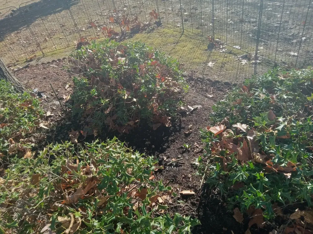 Professional landscaping services for homes in Winchester, TN by Get Mowed