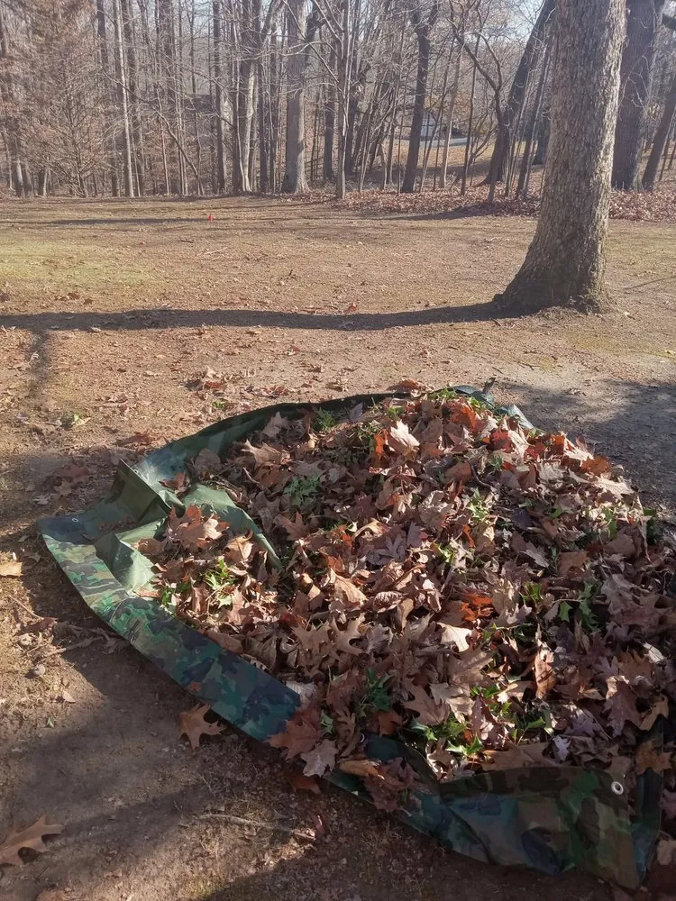 Expert yard maintenance in Winchester, TN - Get Mowed