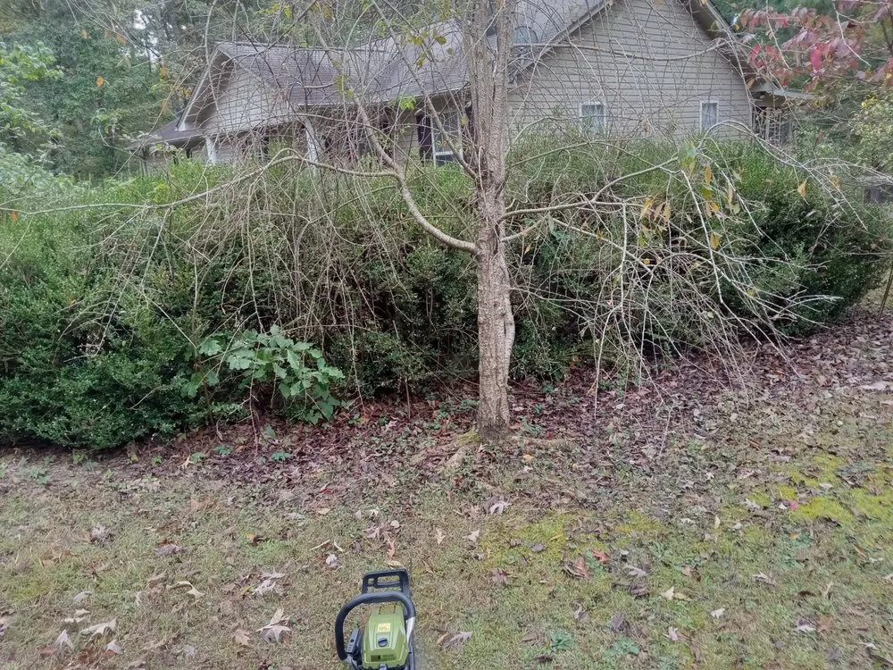 Trusted landscape design for year-round maintenance across Winchester, TN - Get Mowed