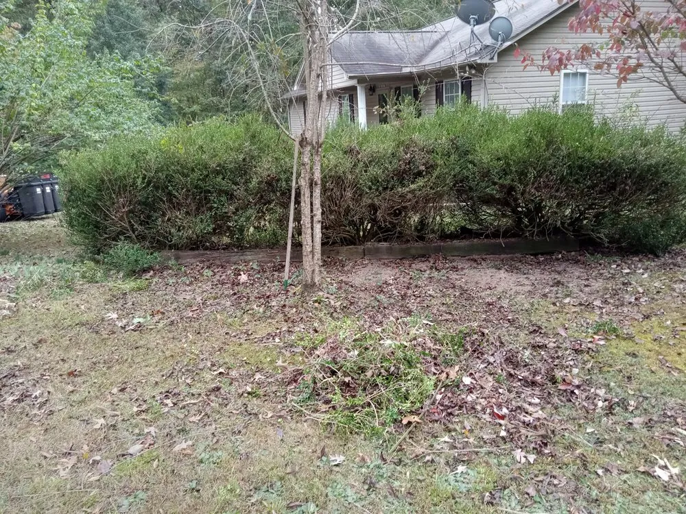 Expert lawn mowing service for beautiful yards in Winchester, TN by Get Mowed