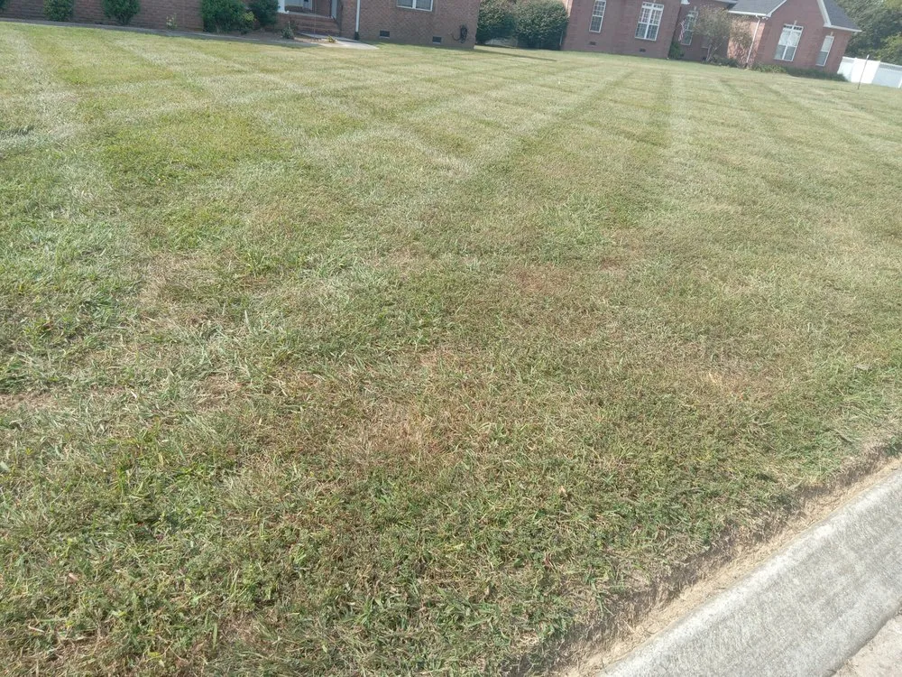Local lawn mowing service with custom design in Winchester, TN by Get Mowed