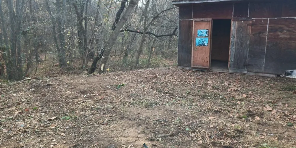 Expert yard maintenance in Stanley, VA by Get N By