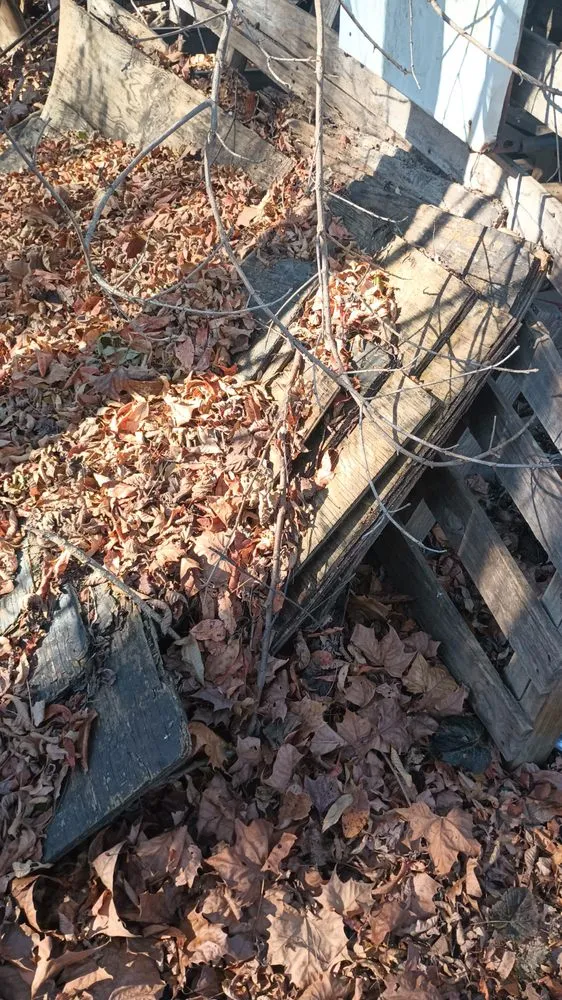 Top-rated lawn mowing service in Stanley, VA by Get N By