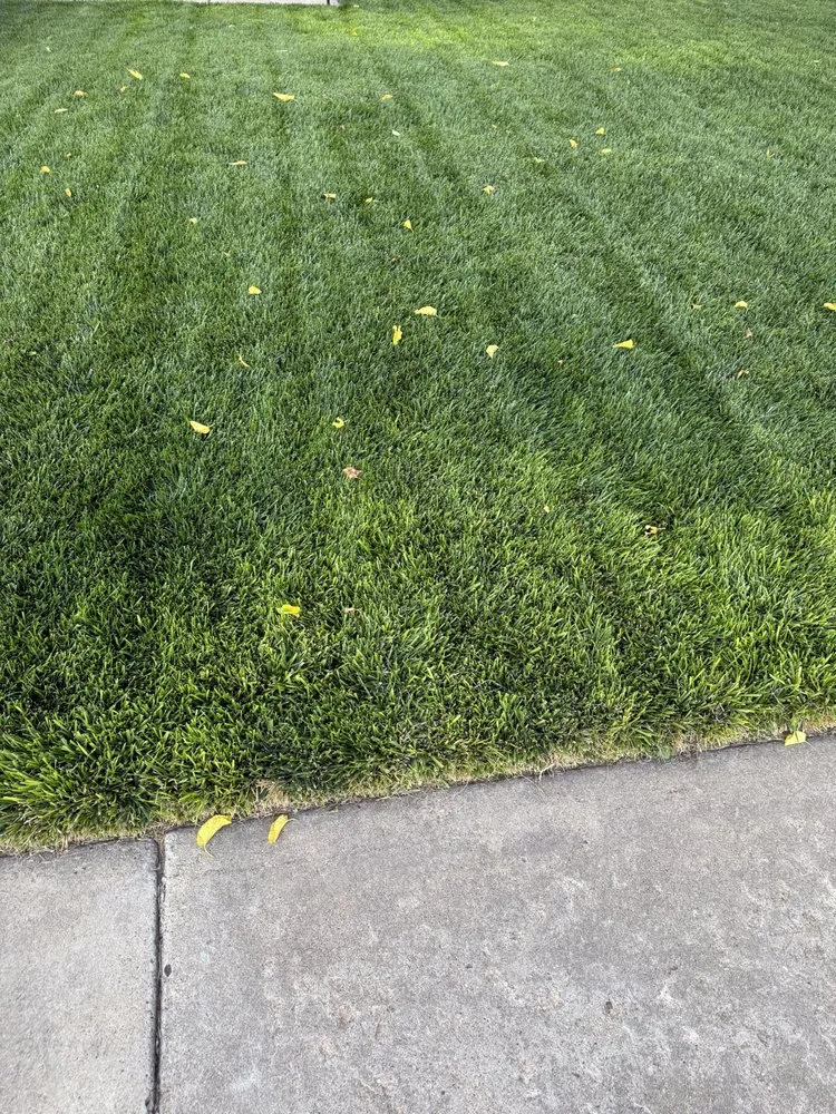 Custom garden landscaping for homes across Amarillo, TX - Get Off My Lawn Care