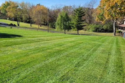 Expert lawn care service experts serving Cincinnati, OH - Get Off My Lawn Care